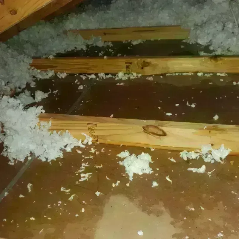 Attic Water Damage in Latimer, MS